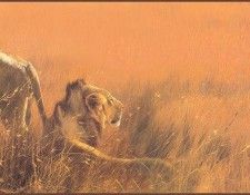 lrsAfrica02DonaldsonKim LionsoftheSerengeti. ����������, ���