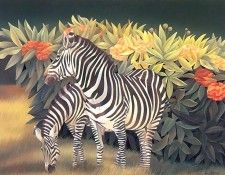 s4-vanishingspecies036-mountainzebra. �����, L