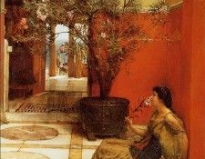 Alma Tadema An Oleander. - 