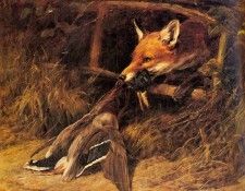 Hardy Heywood Returning To The Foxs Lair. , 