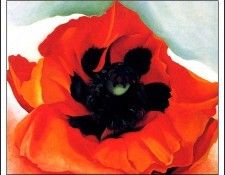 bs-flo- Georgia O Keefe- Poppy. ��� ������ O