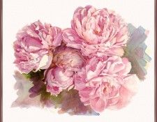 KunzJan-Peonies-sj. , 