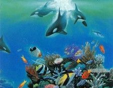 kb Bragg CL Orca Blues. ,  
