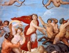 Galatea. 
