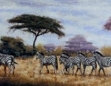 Julio Pro - Zebra Herd, De. Pro ����