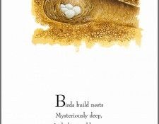 pa TonyOliver BirdsBuildNests 01a. ������, ����