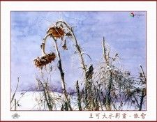 CSA aping WangKeDa 011. ��� �� Da