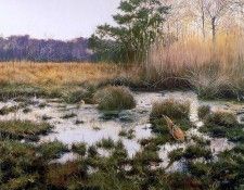 Verstappen Pieter Nature 45 Sun. Verstappen, 