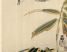 pic09402. �����