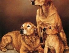 Ipl 0004 Generations NigelHemming sqs. �������, ������� � ����� ������