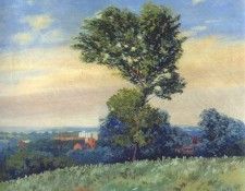 griffith from the hill, lawrence 1915. ,  