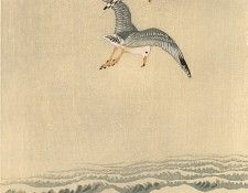 pic02159. �����