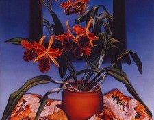 lrs Gillespie Frances John Hopes Cattleya Orchid. , 