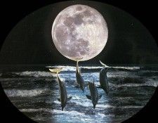 f BarryChall ASC11 MoonlightHighway. Chall, 