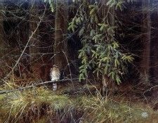 Verstappen Pieter Nature 18 Sun. Verstappen, 