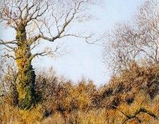 Twinney Dick Nature 055 Sun. Twinney, ���