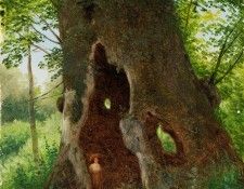 ������ ��� 1920 ����� ����� 47�35 ��. ����������� ������� �������� (1854-1924)