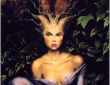 Fangorn Phaedra - Xxx 1231 . , 