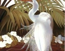 s4-vanishingspecies026-greategret. , L