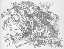 am chapter30. ��������, �����