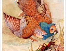 bs JerryPinkney TheAntAndTheDove. , 