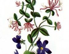 Barbara Milo Ohrbach - A Token of Friendship 11, De. Ohrbach, ������� Milo