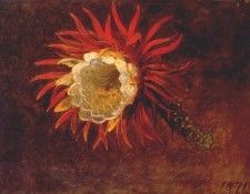 heade study of a yellow flower 1871. ,  