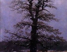 FRIEDRICH Caspar David Oak In The Snow. �������, ������ �����