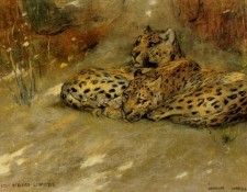 06428. �����, �����