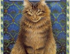 lrsCoverGloriousCats. ������, ����� ���