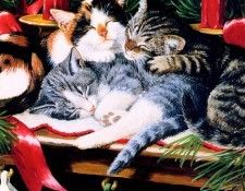 Persis Clayton Weirs - Unknown, De. ,  
