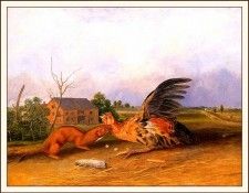 bs-na- Audubon- Tawny Weasel. Audubon, ���� ������