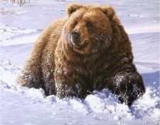 JohnSeerey-Lester HeavyGoing Grizzly ec. Seerey- 