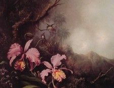 Two Orchids in a mountain Landscape. ,  