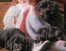 Ipl 0028 Threes Company KevinDaniel sqs. ,    