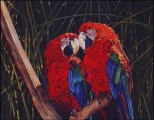 lrsGillihandLaura-Rollo&Ruby. Gillihand, �����