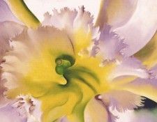 okeeffe an orchid 1941. OKeeeffe, 