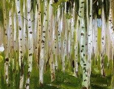 �������� � ���������. �����, �������