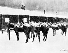 Fr 018 Cow Pony Pathos FredericRemington sqs. Remington, ��������