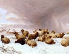 Cooper Thomas Sidney Sheep In Winter.   