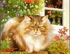 pa ChrissieSnelling Cats 03. , 