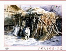 CSA aping WangKeDa 047. ��� �� Da