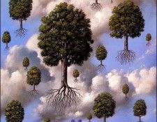 bs-RafalOlbinski-SeaLavender. Olbinski, �����