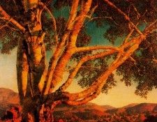18145. , Maxfield