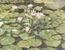 Hanks Steve Lilies of Balboa. �����, ����