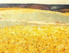 36264. ���������-���������