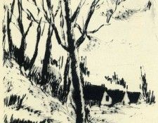 art 167. ������� ����� ��