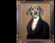 dog portraits csg053 georgi ablomolotovski. , 