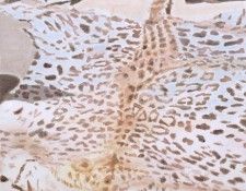 Leopard. , 