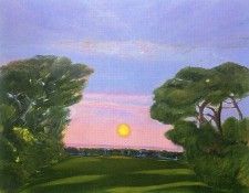 art 308. Freilicher, �����